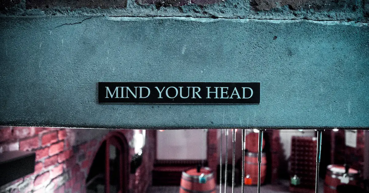 Mind Your Head Signage 6