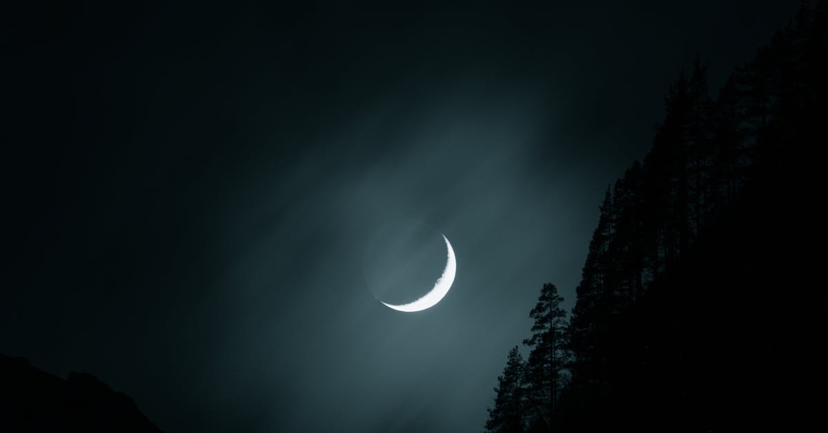 Photo of Moon on a Dark Sky 1 3