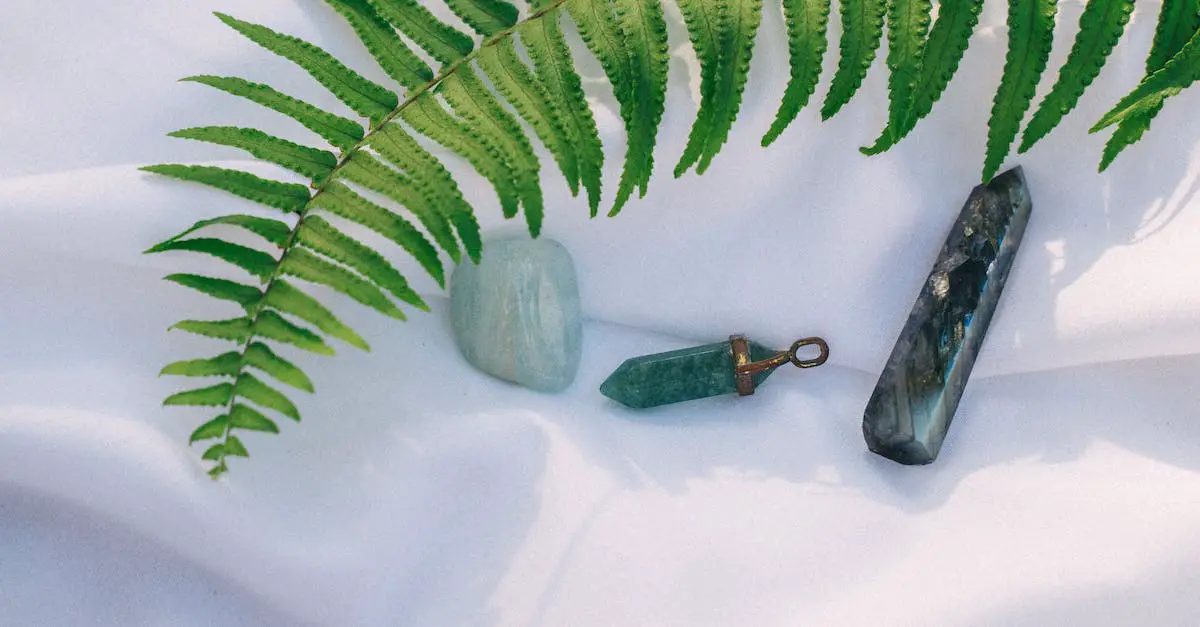 Healing Crystals Beside Green Fern Leaf on a White Surface